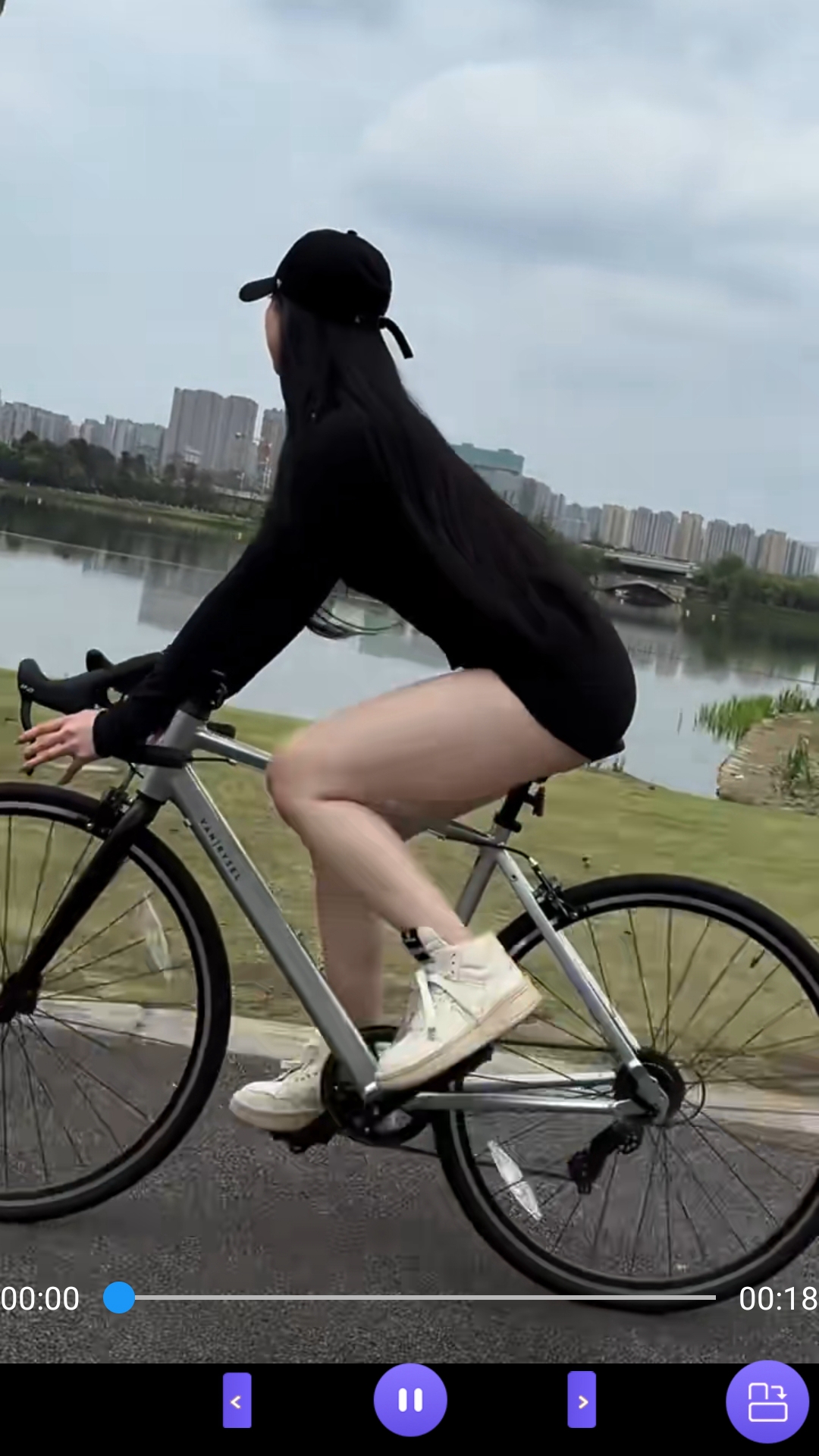 长腿昆虫像蟋蟀无翅膀截图
